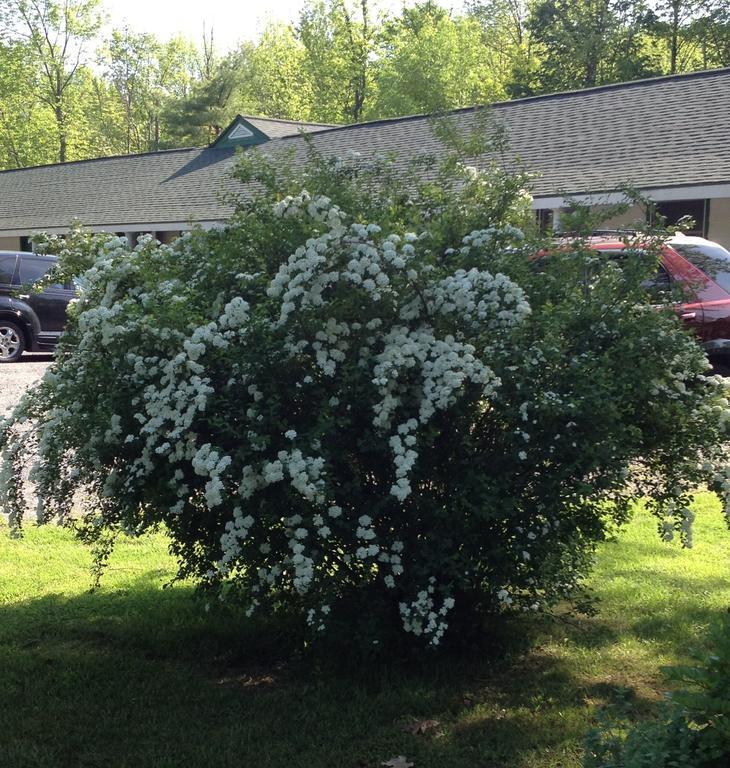 Mcgregor Inn Motel Wilton 外观 照片