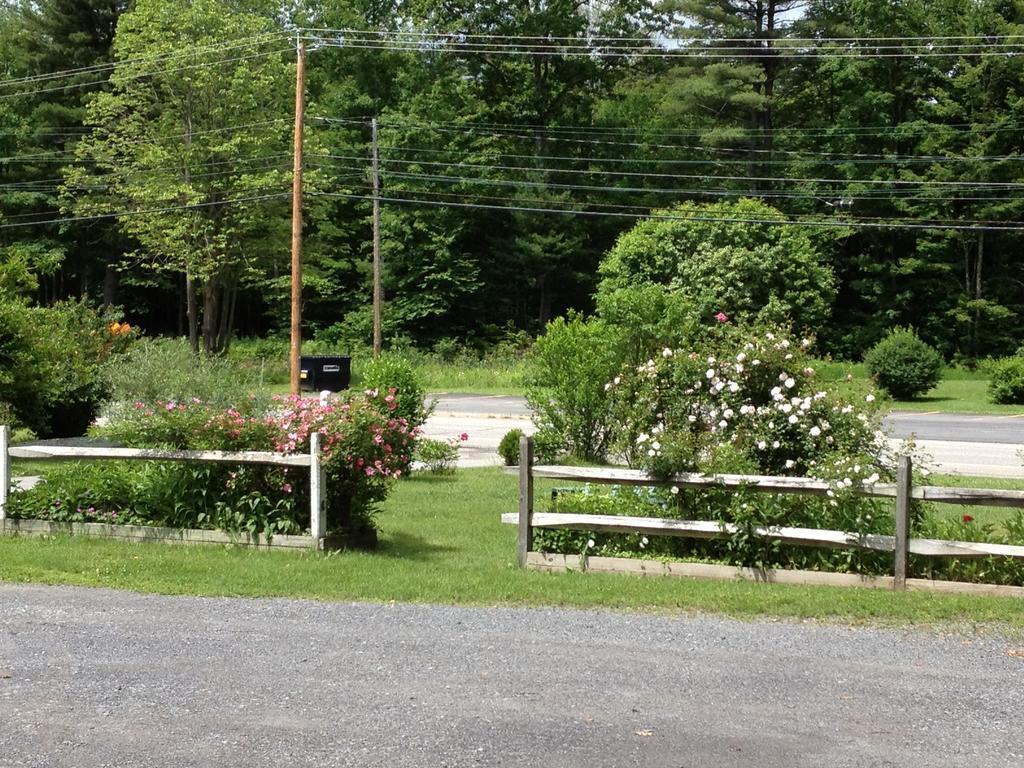Mcgregor Inn Motel Wilton 外观 照片