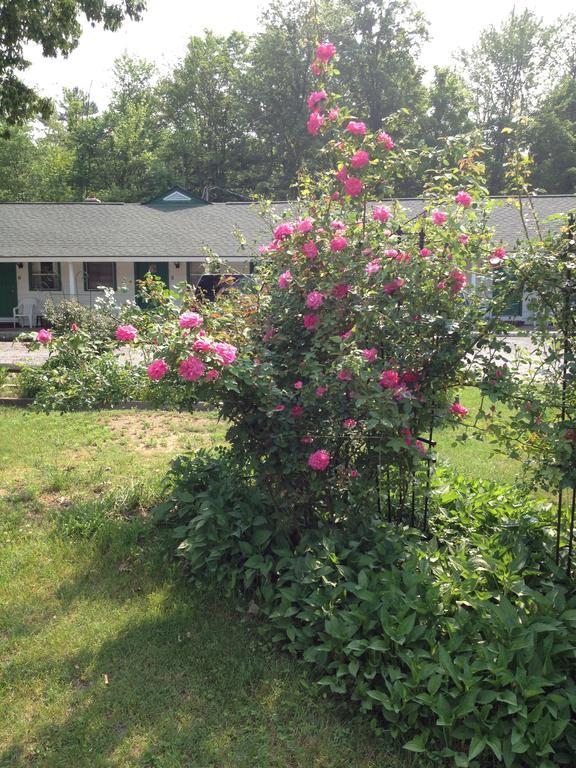 Mcgregor Inn Motel Wilton 外观 照片